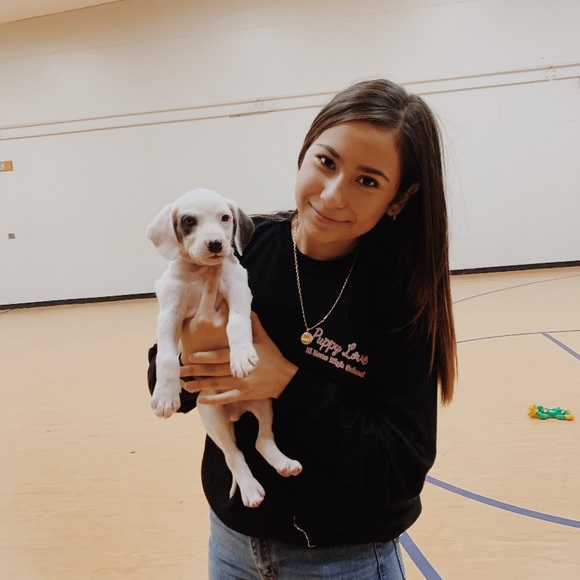 Meet your Posher, Ariana - Picture 1 of 1